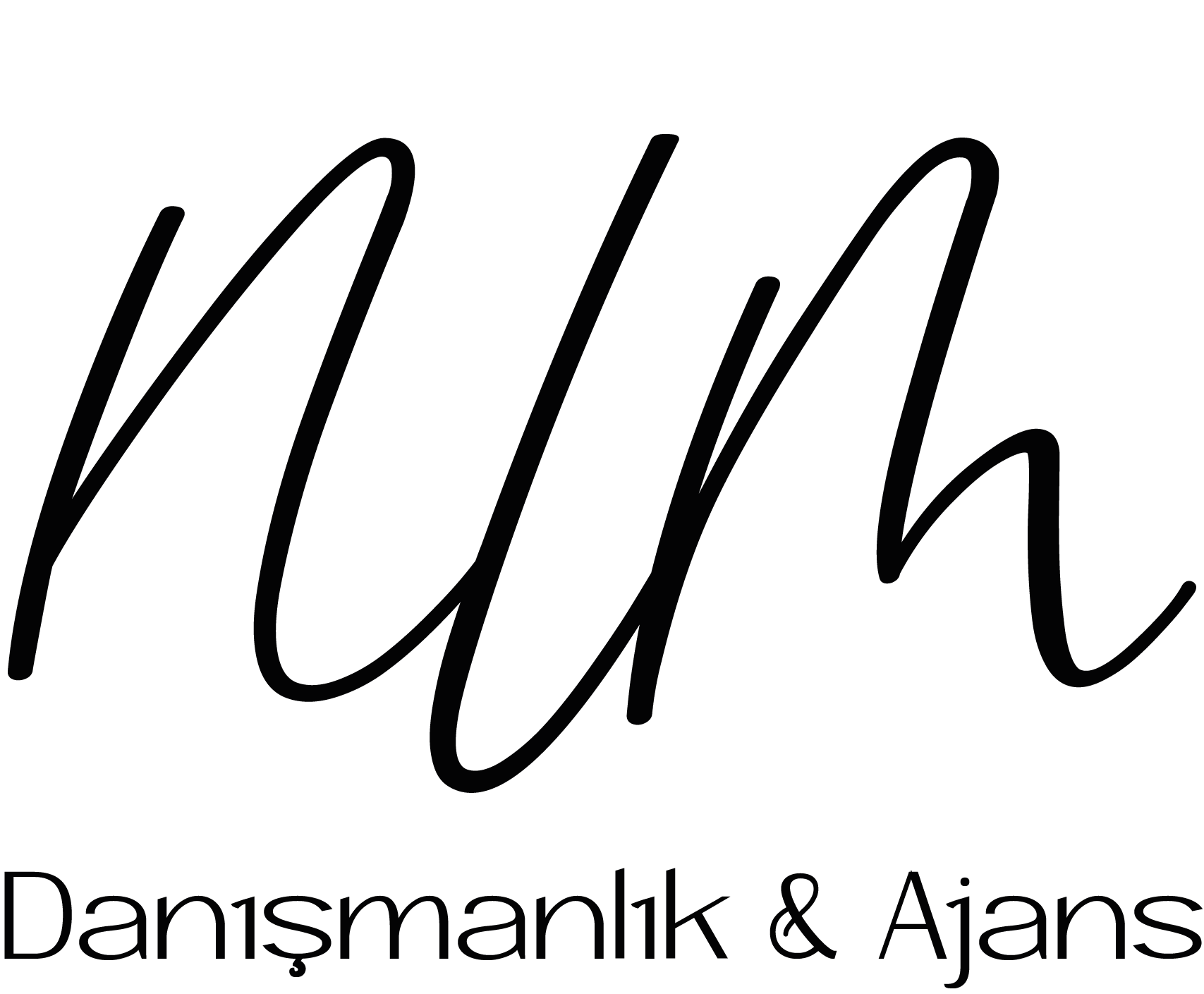 NLM Danışmanlık ve Ajans